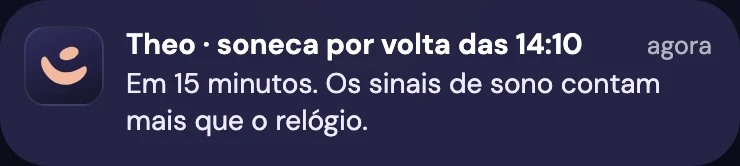 Aviso: Theo, soneca por volta das 14:10. Em 15 minutos. Os sinais de sono contam mais que o relógio.